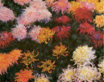 Claude Monet Chrysanthemums  sd Norge oil painting art